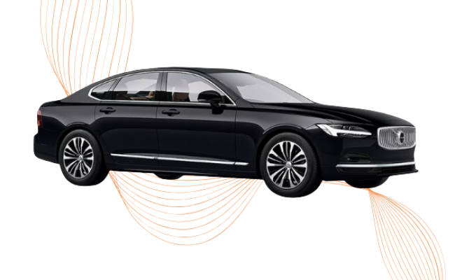 Untitled design (54)