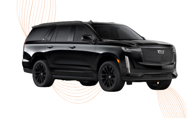 Untitled design (55)